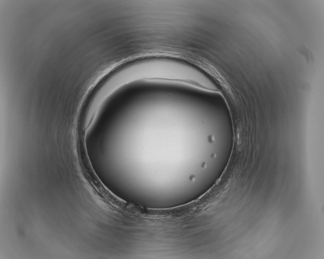 X0000110900436200907021541