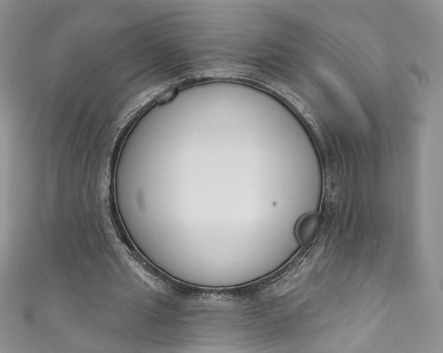 X0000110900437200907021541