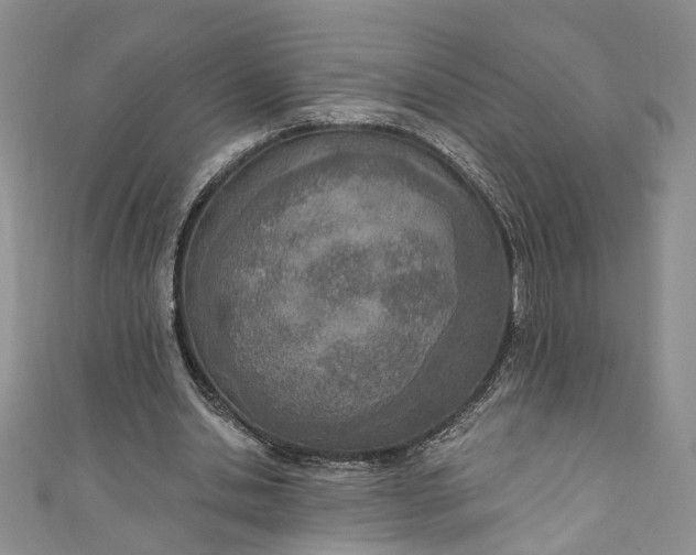 X0000110900438200907021541