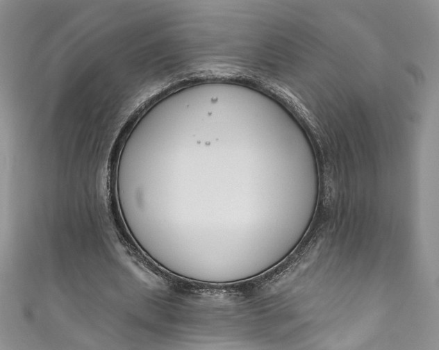 X0000110900439200907021541