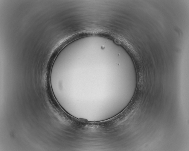 X0000110900440200907021541