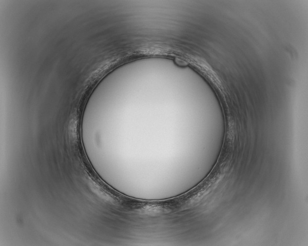 X0000110900441200907021541