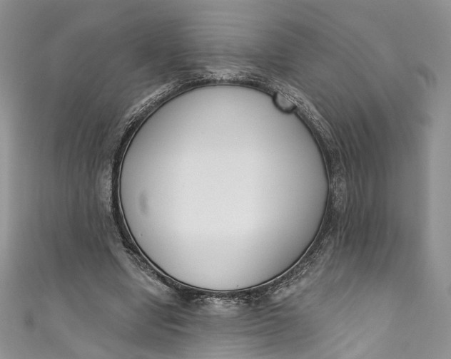 X0000110900442200907021541
