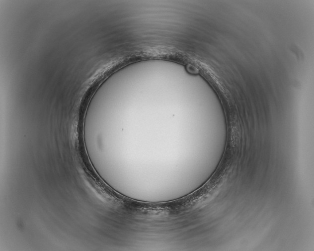 X0000110900443200907021541
