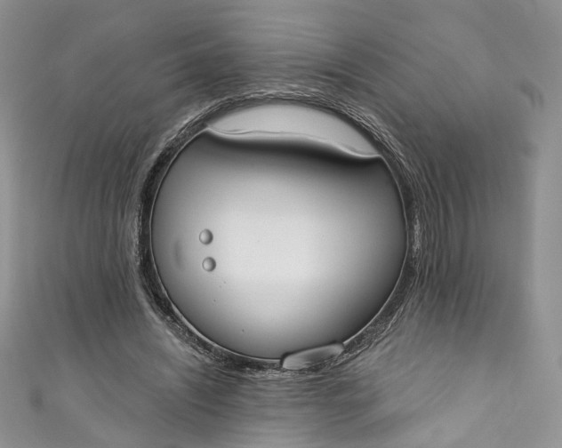 X0000110900444200907021541
