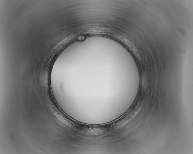 X0000110900445200907021541
