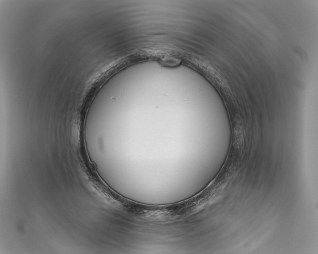 X0000110900446200907021541