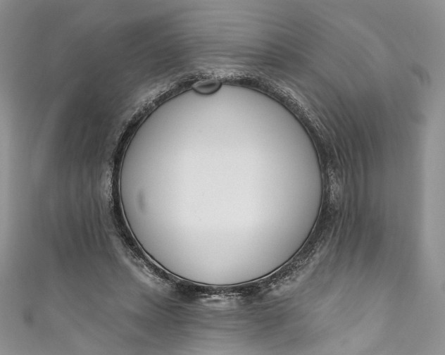 X0000110900447200907021541