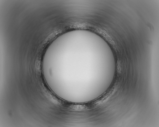 X0000110900449200907021541