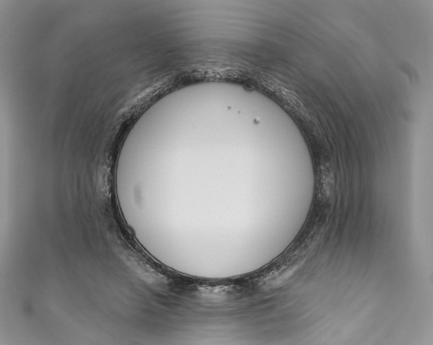 X0000110900450200907021541