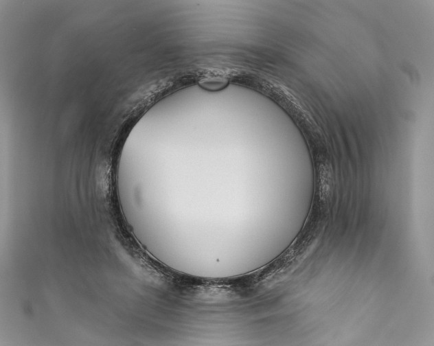 X0000110900451200907021541
