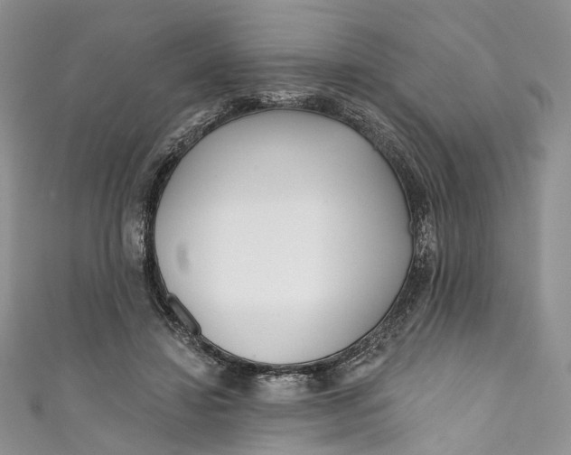 X0000110900452200907021541