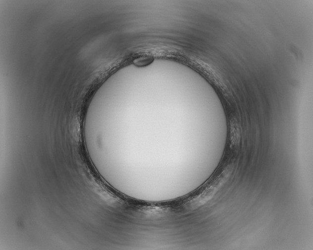 X0000110900453200907021541