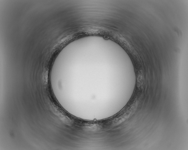 X0000110900454200907021541