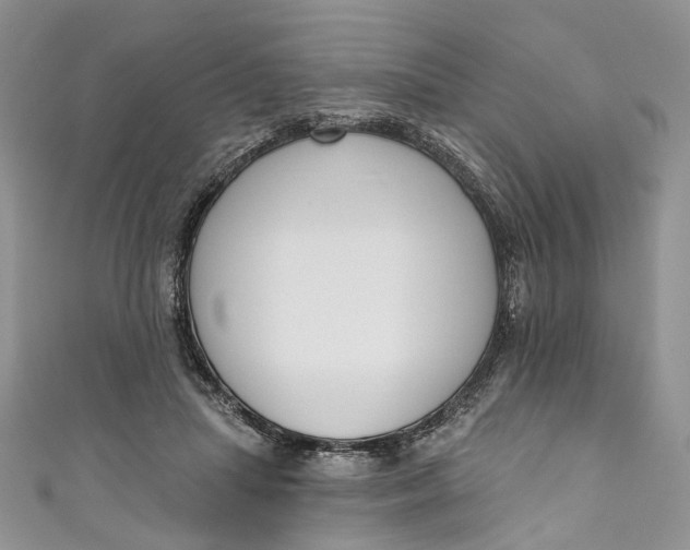 X0000110900455200907021541