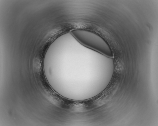 X0000110900456200907021541