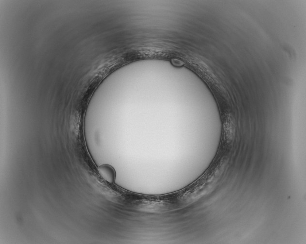 X0000110900458200907021541