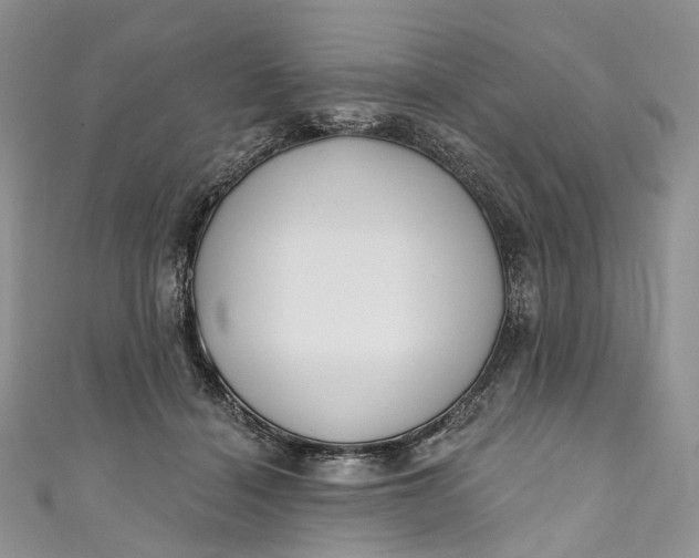 X0000110900460200907021541