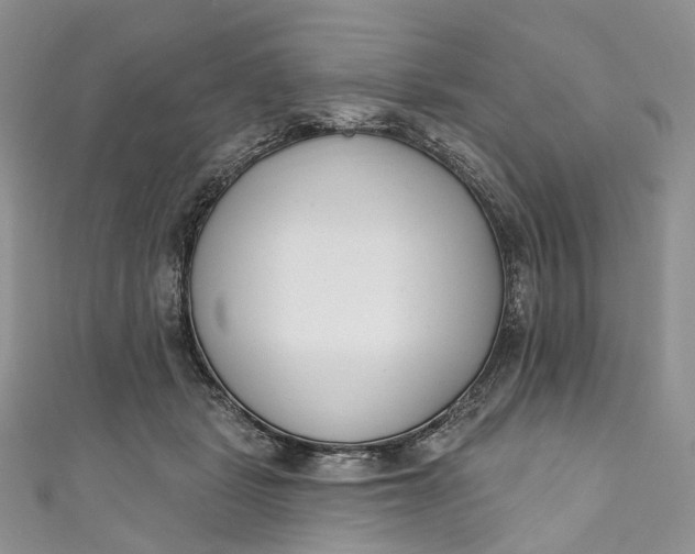 X0000110900461200907021541