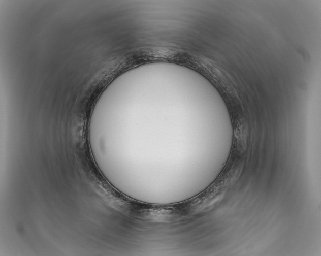 X0000110900462200907021541