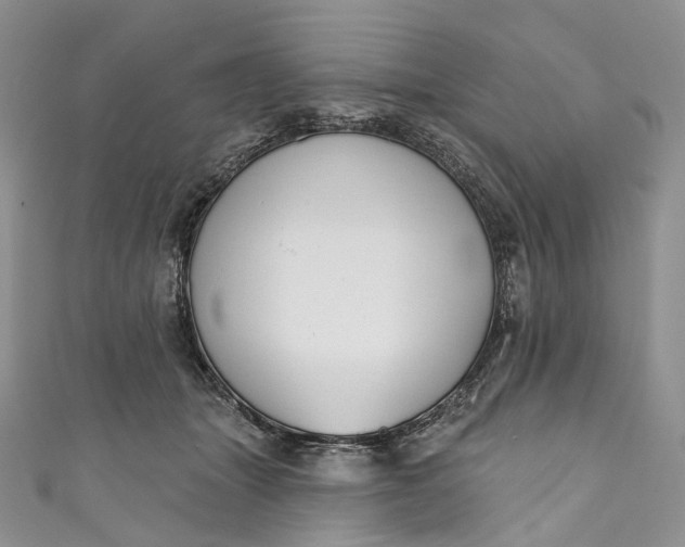 X0000110900463200907021541