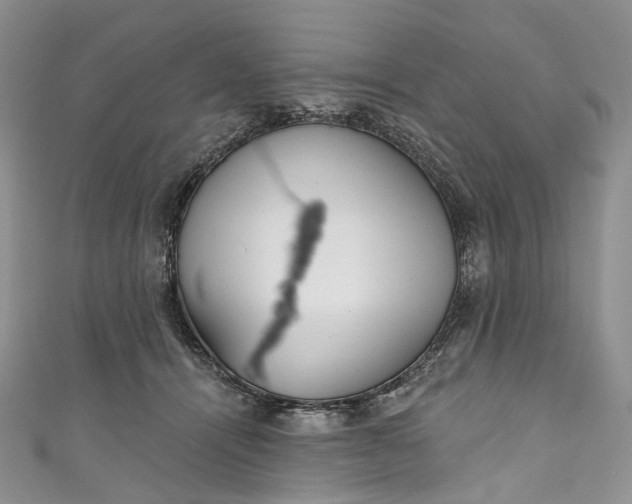 X0000110900464200907021541