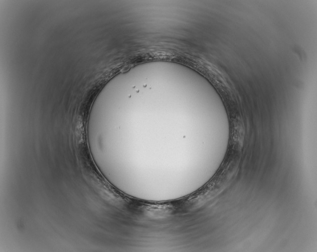 X0000110900465200907021541