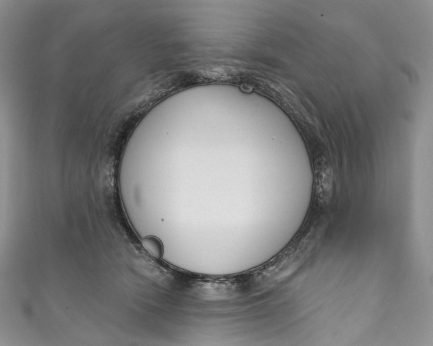 X0000110900466200907021541