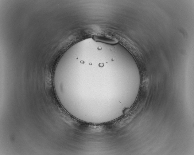 X0000110900469200907021541