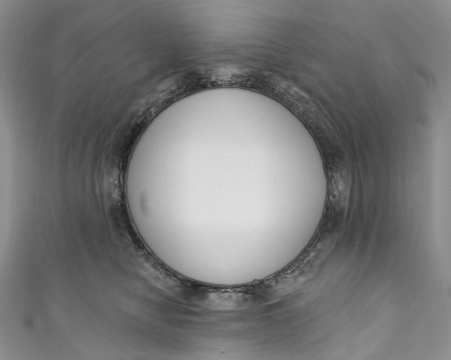 X0000110900470200907021541