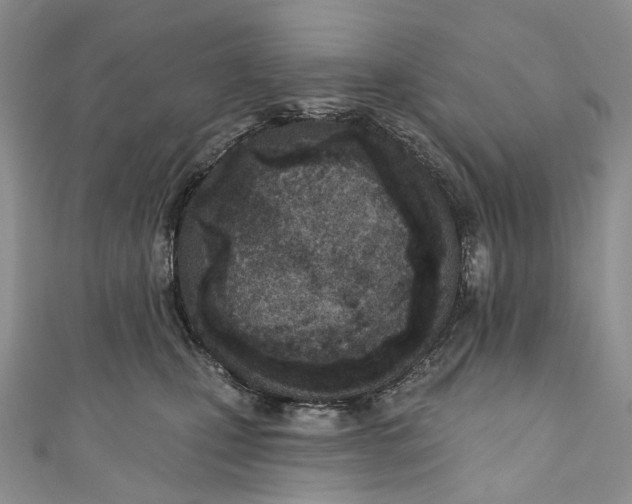 X0000110900471200907021541