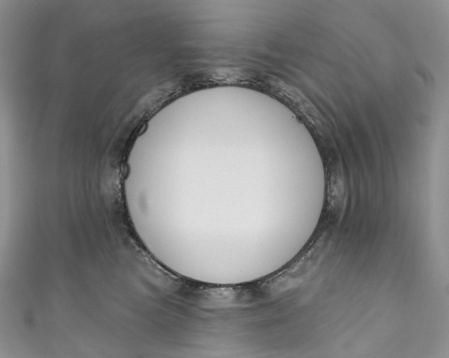 X0000110900473200907021541