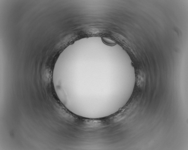 X0000110900476200907021541