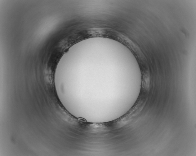 X0000110900477200907021541