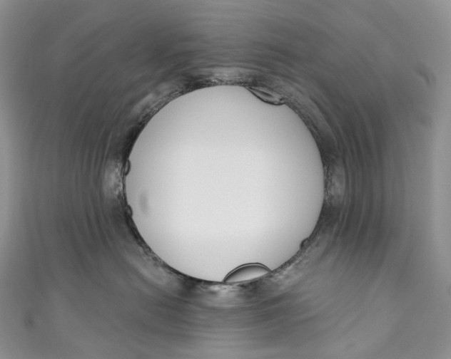 X0000110900478200907021541