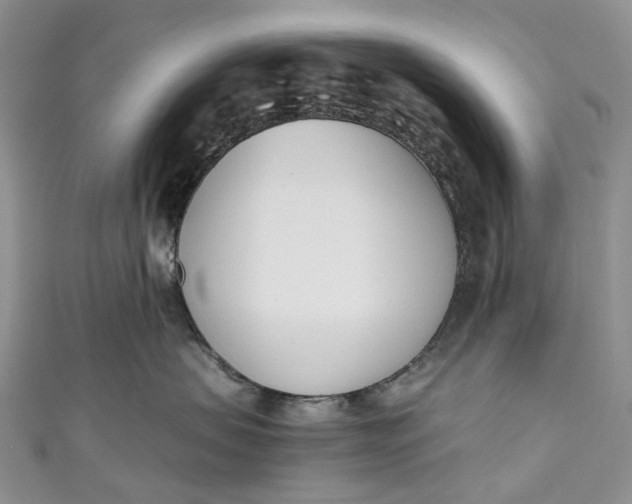 X0000110900479200907021541