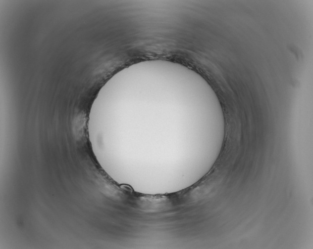 X0000110900480200907021541