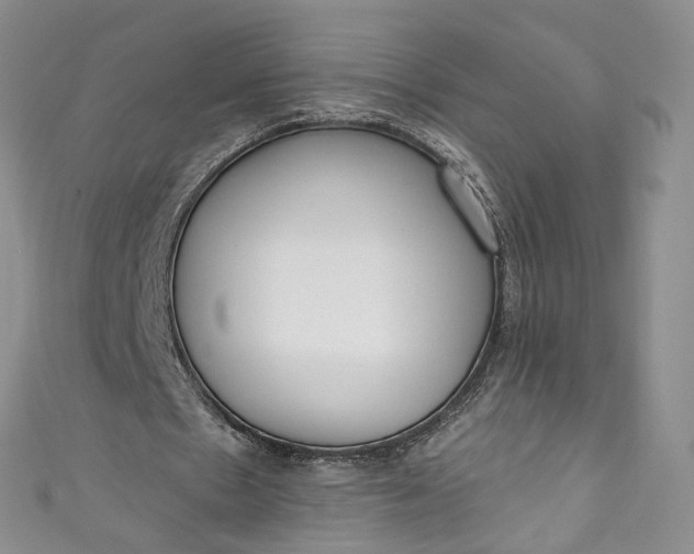 X0000110900481200907021541