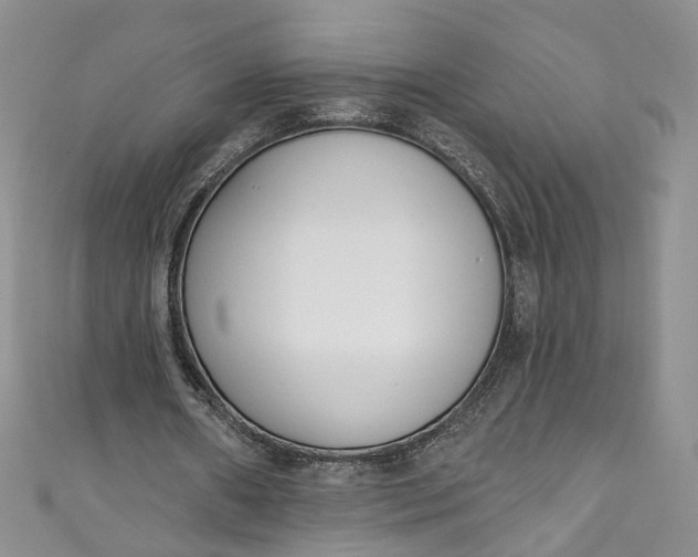 X0000110900482200907021541