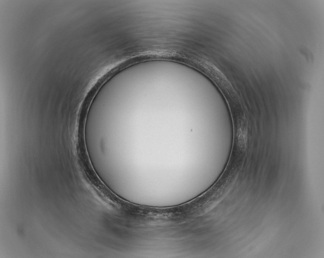 X0000110900484200907021541