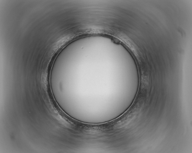 X0000110900485200907021541