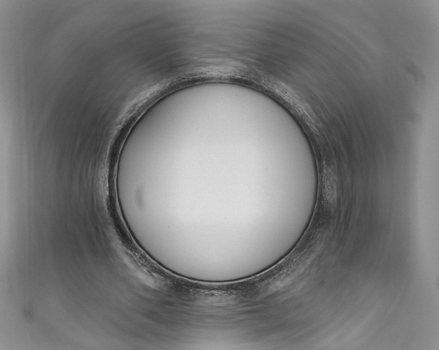 X0000110900486200907021541