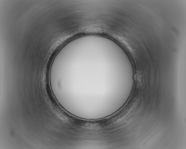 X0000110900487200907021541