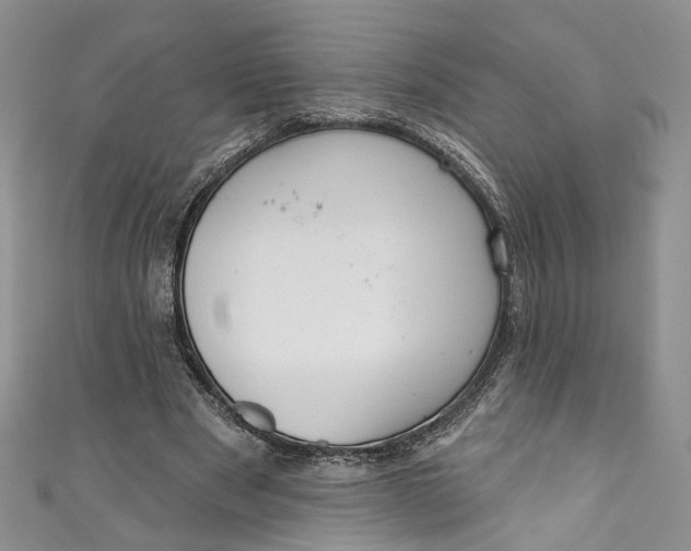 X0000110900489200907021541