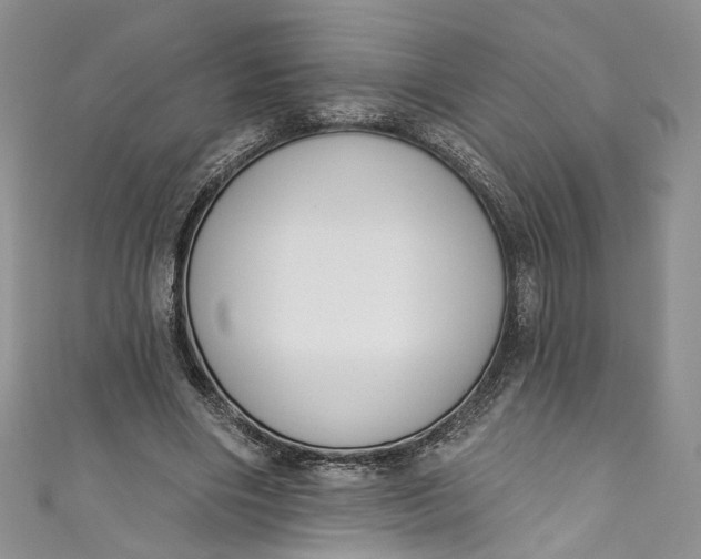 X0000110900490200907021541