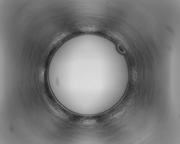 X0000110900491200907021540