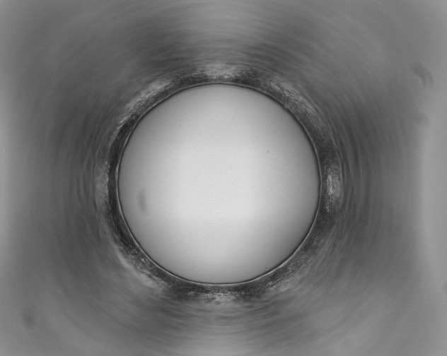X0000110900492200907021540