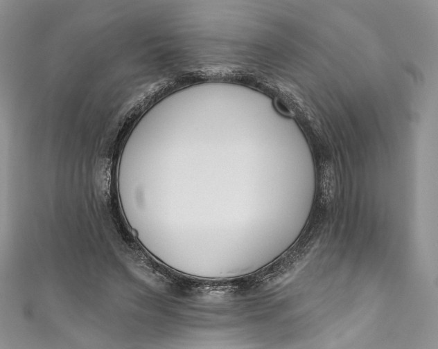 X0000110900495200907021540