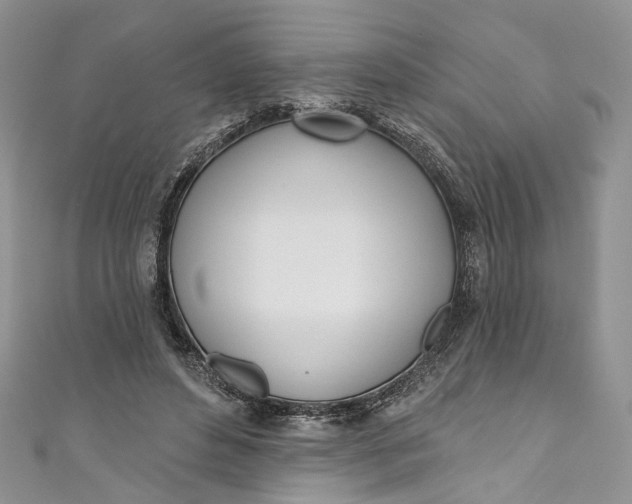 X0000110900496200907021540