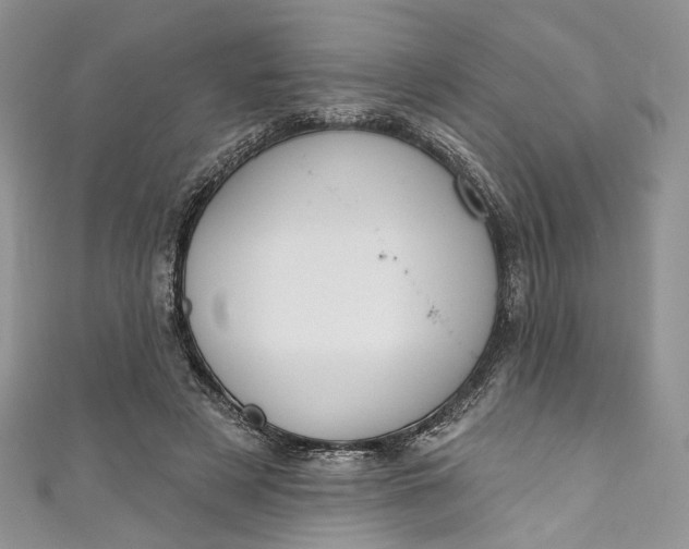 X0000110900497200907021540